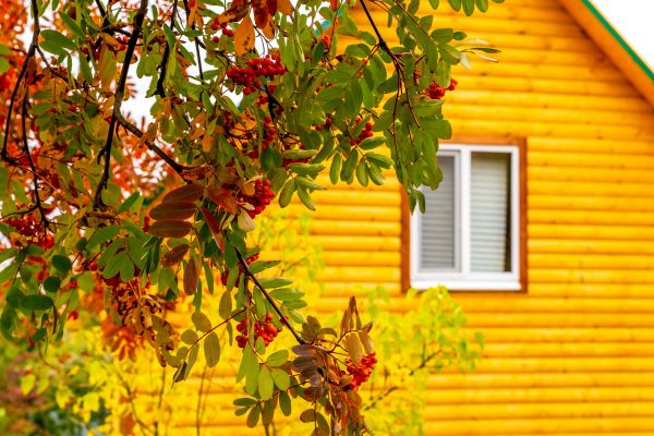 Garden Window Replacement in Denton